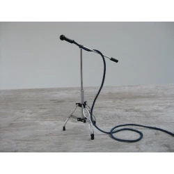 Microphone on boomstand...