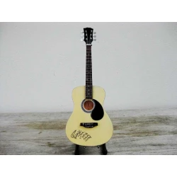 Gitaar Gibson Billie Joe Amstrong (Green Day)  'was here' autographed signature