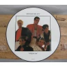 Originele Picture Disk (LP) van Spandau Ballet 'I'll fly for you' 1984