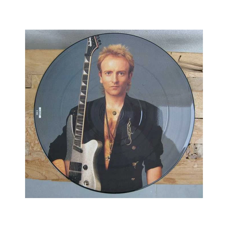 def-leppard-vinyl-picture-disk-picture-disc-lp-uniek-cadeau-miss-you-in