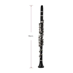Handgemaakte klarinet "Exquisite' met koffertje en standaard