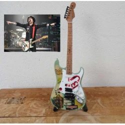 Gitaar Fender Stratocaster van Billie Joe (GREENDAY)
