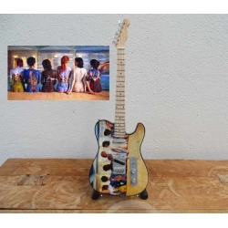 gitaar Fender Telecaster Pink Floyd Back Cataloque music 'Beach'