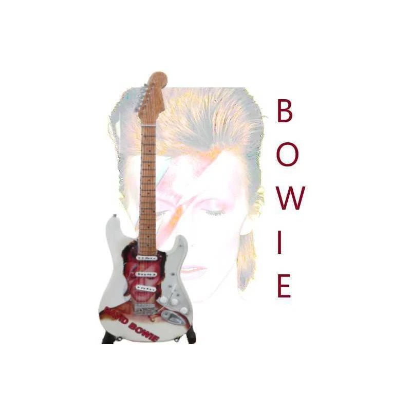 Gitaar Fender Stratocaster David Bowie tribute