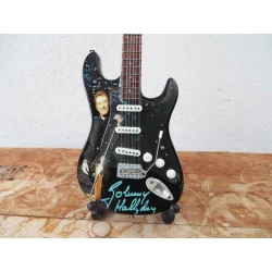 Gitaar Fender Stratocaster JOHNNY Hallyday tribute