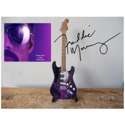 Miniatuur gitaar Fender Stratocaster QUEEN - Freddie Mercury Purple Tribute - signed -