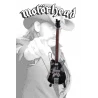 Guitar Rickenbacker 4004 LK Lemmy Kilmister (Motorhead)