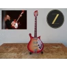 Guitar Rickenbacker 660/12 TP including Tom Petty Rare